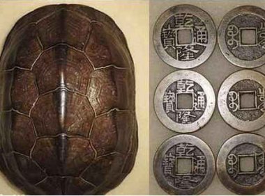 不同脸型的人一生命运如何？