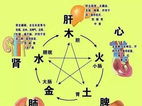 如何通过听声音判断五脏健康情况？