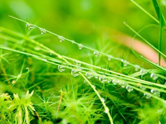 健康养生包括哪些方面