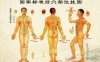 国家标准经穴部位动画挂图（请收藏