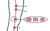 膝阳关穴