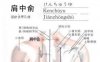 肩中俞穴