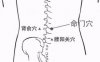命门穴