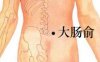 大肠俞穴