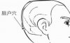 脑户穴