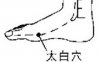 太白穴