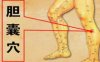 胆囊穴