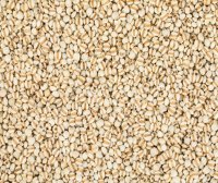 薏仁粉的功效与作用 薏仁粉的作用