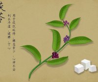 茯苓怎么喝能祛斑 茯苓的作用