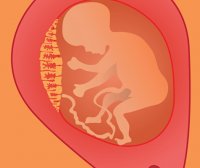 紫河车是什么 紫河车的作用