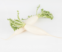 冬季感冒咳嗽怎么治最有效 冬季感冒咳嗽怎么办