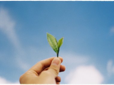 DDDD（懂得都懂），真的是这样吗？