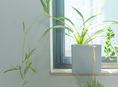 周末躺尸一整天，越躺越心累？3招教你高效休息