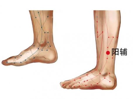 阳辅穴