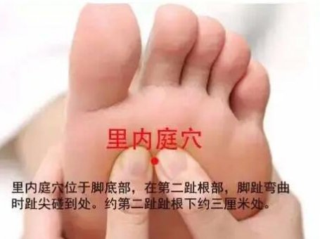 里内庭穴