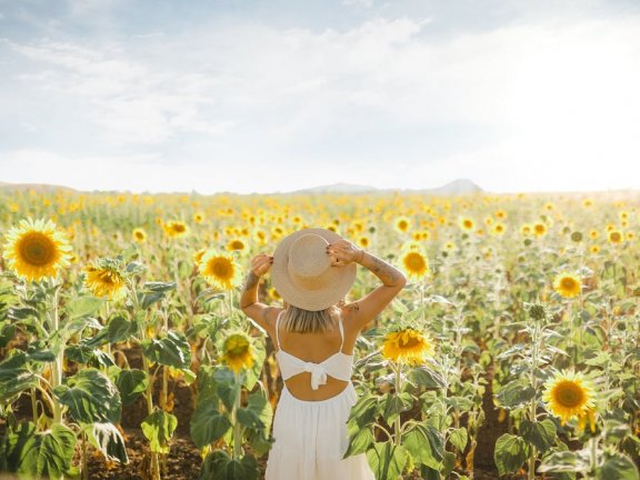 愿望是生之福祉