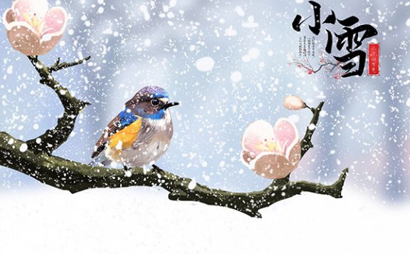小雪节气的天气特点 小雪节气的由来