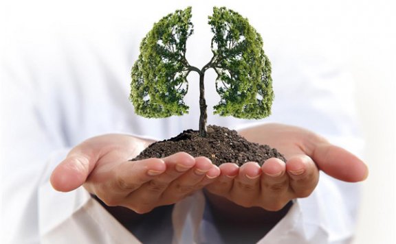 为何秋季要养肺 秋季养肺的重要性