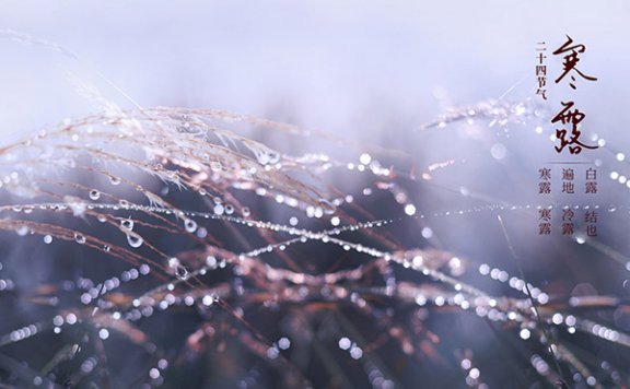 寒露节气的含义是什么 寒露吃什么传统食物