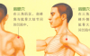 肩周炎艾灸哪个部位图解