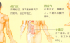 早泄艾灸哪个部位图解