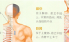 心律失常艾灸哪个部位图解