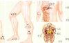 高脂血症刮痧部位图解