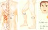 食欲不振刮痧部位图解