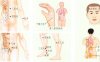 泌尿系感染刮痧部位图解