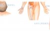 脱发按摩部位图解