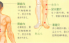 食欲不振艾灸哪个部位图解