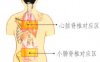 心和小肠保健刮痧部位图解