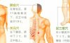 秋季艾灸艾灸哪个部位图解