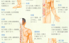 阳痿艾灸哪个部位图解