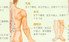 增加免疫力艾灸哪个部位图解