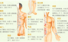 心悸艾灸哪个部位图解