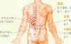慢性腰肌劳损艾灸哪个部位图解