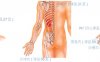 养心安神按摩部位图解