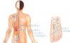促进消化按摩部位图解