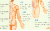 早泄艾灸哪个部位图解
