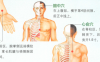 冠心病艾灸哪个部位图解