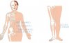 除脂减肥按摩部位图解