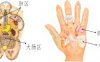 肺和大肠保健刮痧部位图解