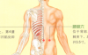 腰间盘突出症艾灸哪个部位图解