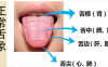 正常舌象与望舌的意义