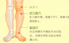 踝关节痛艾灸哪个部位图解