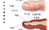 健康人的指甲特征
