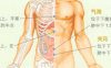 消化性溃疡艾灸哪个部位图解