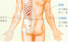急性腰扭伤艾灸哪个部位图解