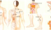 心悸刮痧部位图解